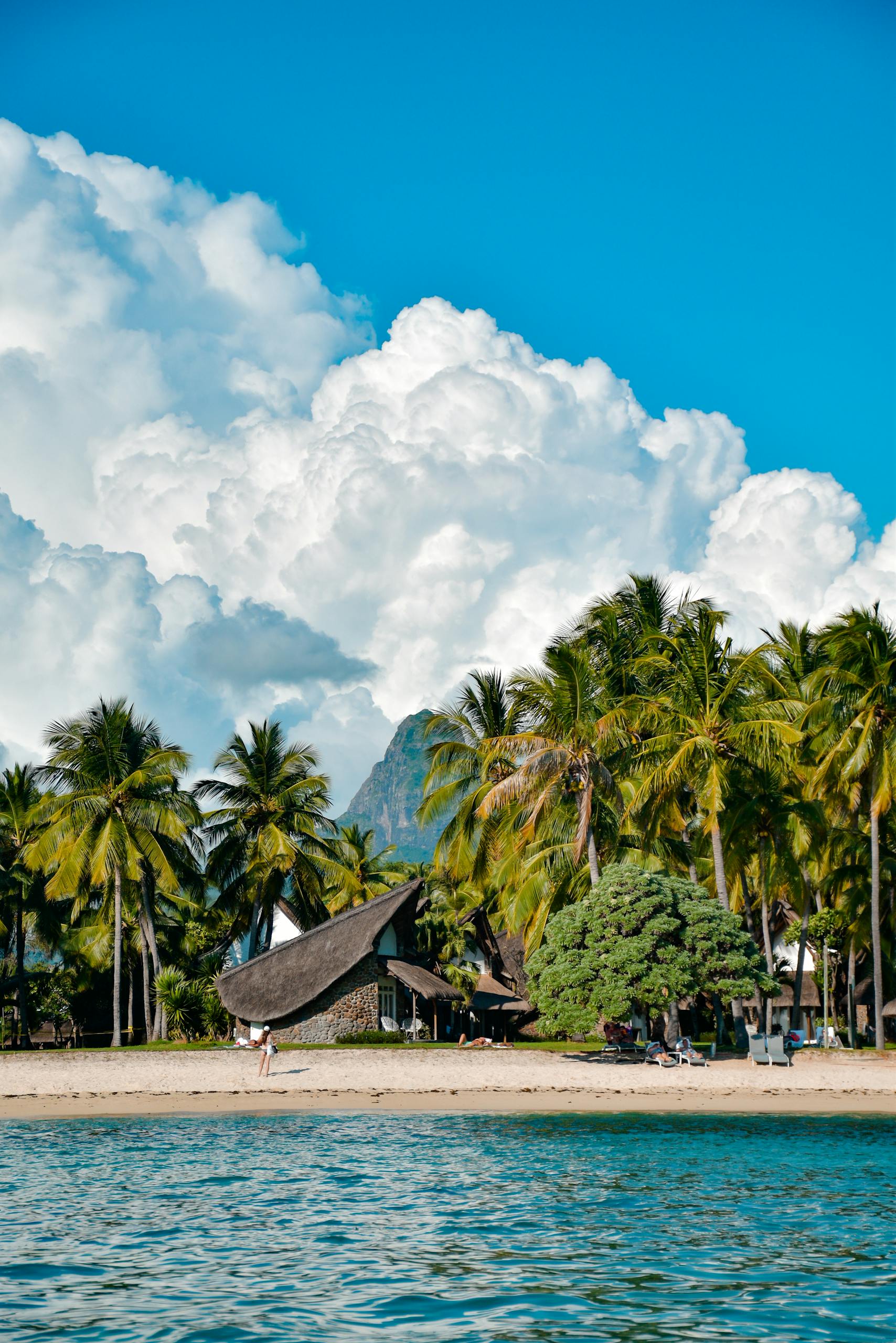 Stunning beach view at Flic en Flac, Mauritius with palm trees and scenic mountains.